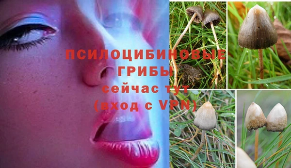 меф Дмитриев