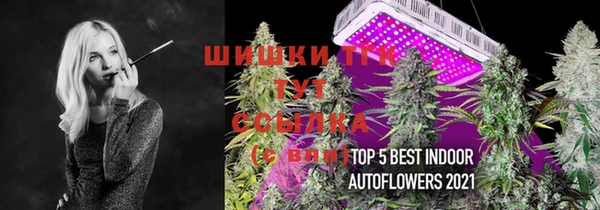 кокс Дмитровск