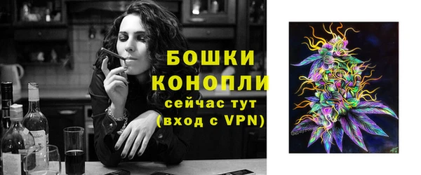 кокс Дмитровск
