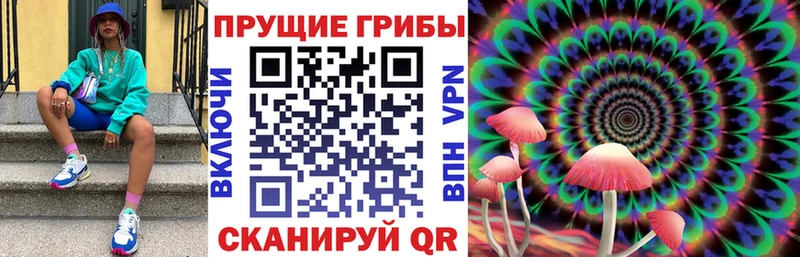 hydra как войти  Иркутск  Псилоцибиновые грибы мухоморы  цена наркотик 