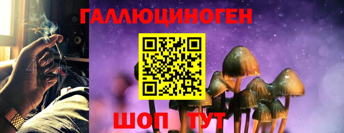 Псилоцибиновые грибы Cubensis Иркутск